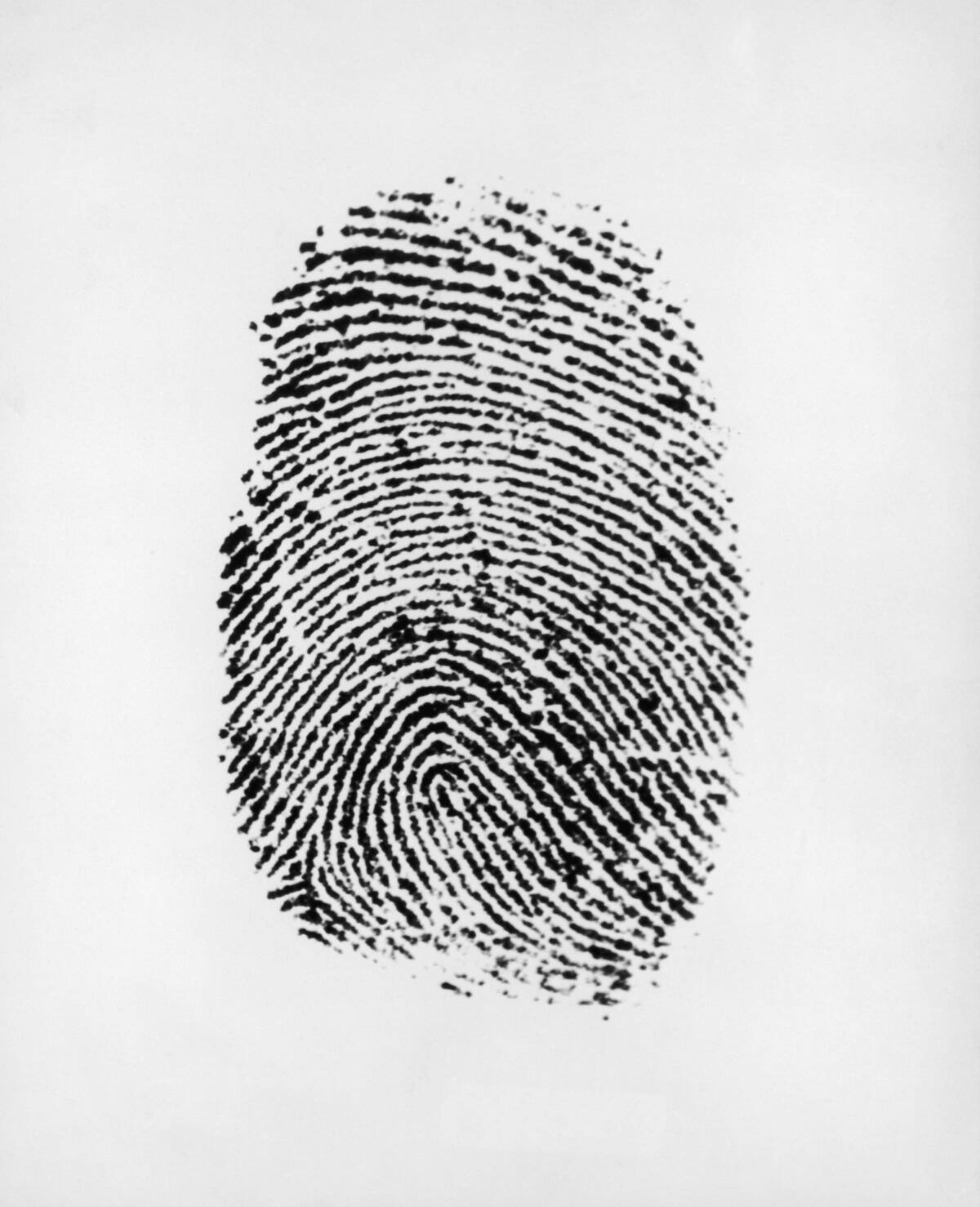 Loop Fingerprint