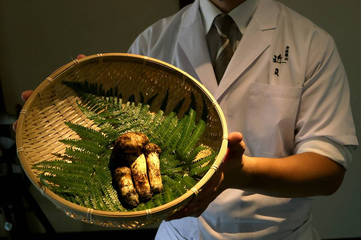 Matsutake Mushroom Fetches Highest Price At First Auction