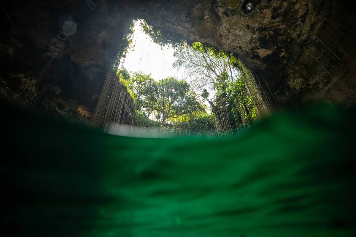 Mexico's Sacred 'Eyes of Water' Threatened by Uncontrolled Tourism and Industrial Farming