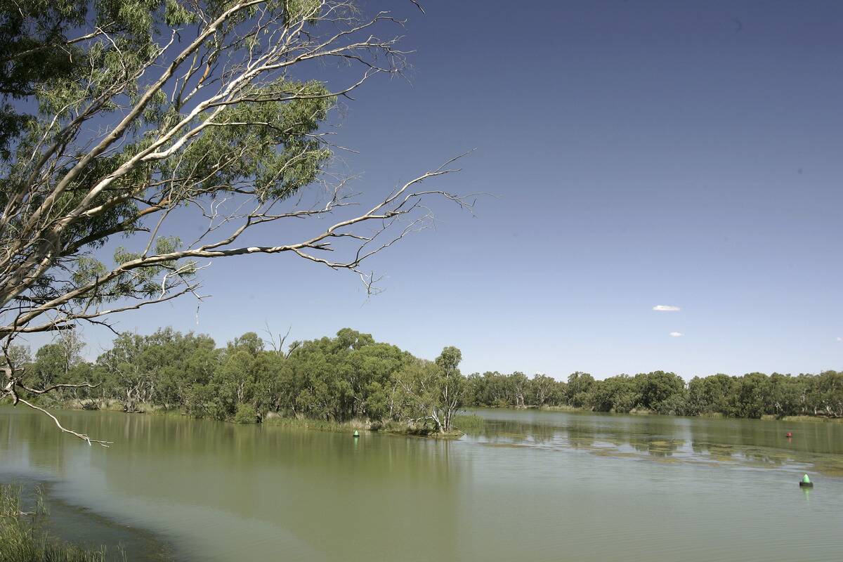 Murray Darling Basin In Crisis