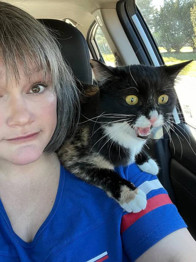 my-wife-decided-to-take-the-cat-for-a-ride-the-cat-had-some-v0-nv0k00bw1jfg1