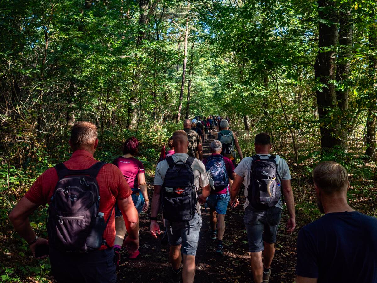 Participants are seen walking through a dense forest. This...