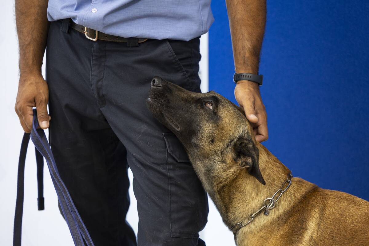 Police dog Kalle and dog handler at the Ministry of the Interior