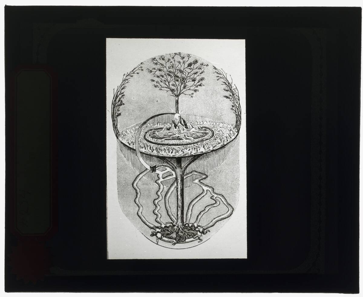 Reproduction Of Print Showing Cosmic Ash Tree