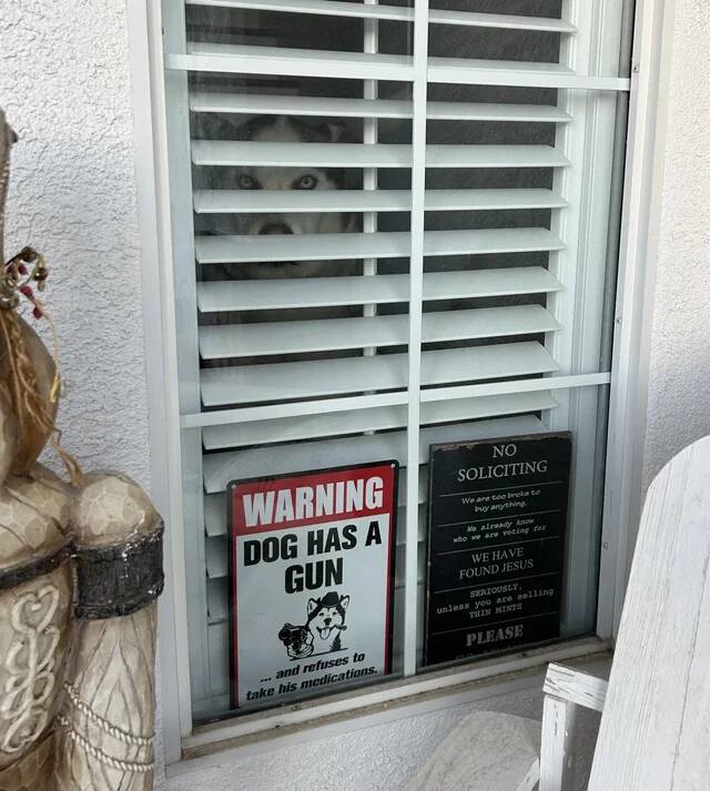 saw-this-while-delivering-someones-food-yesterday-v0-ygmtj7hcmdag1