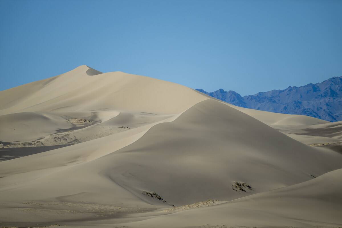 Scenic view of the sand dunes at the Hongoryn Els sand dunes...