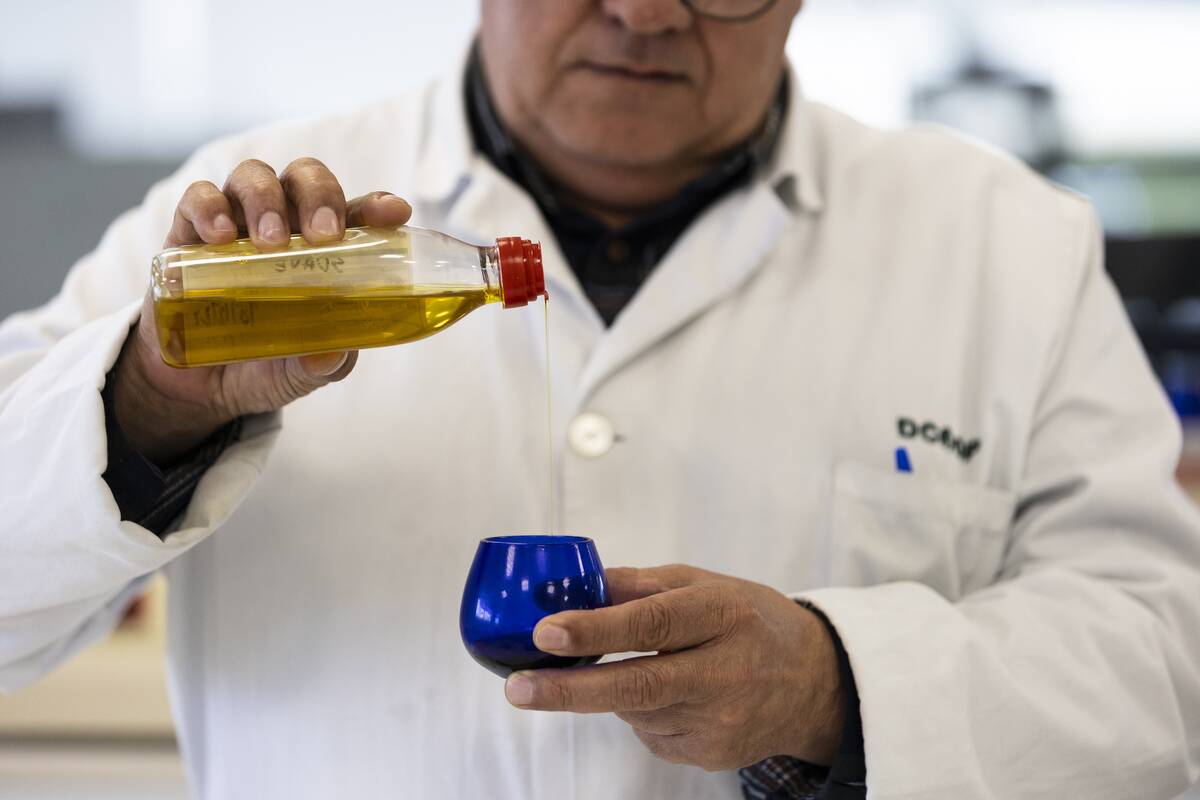 Spanish Olive Oil Producers Face Impact Of U.S. Tariff