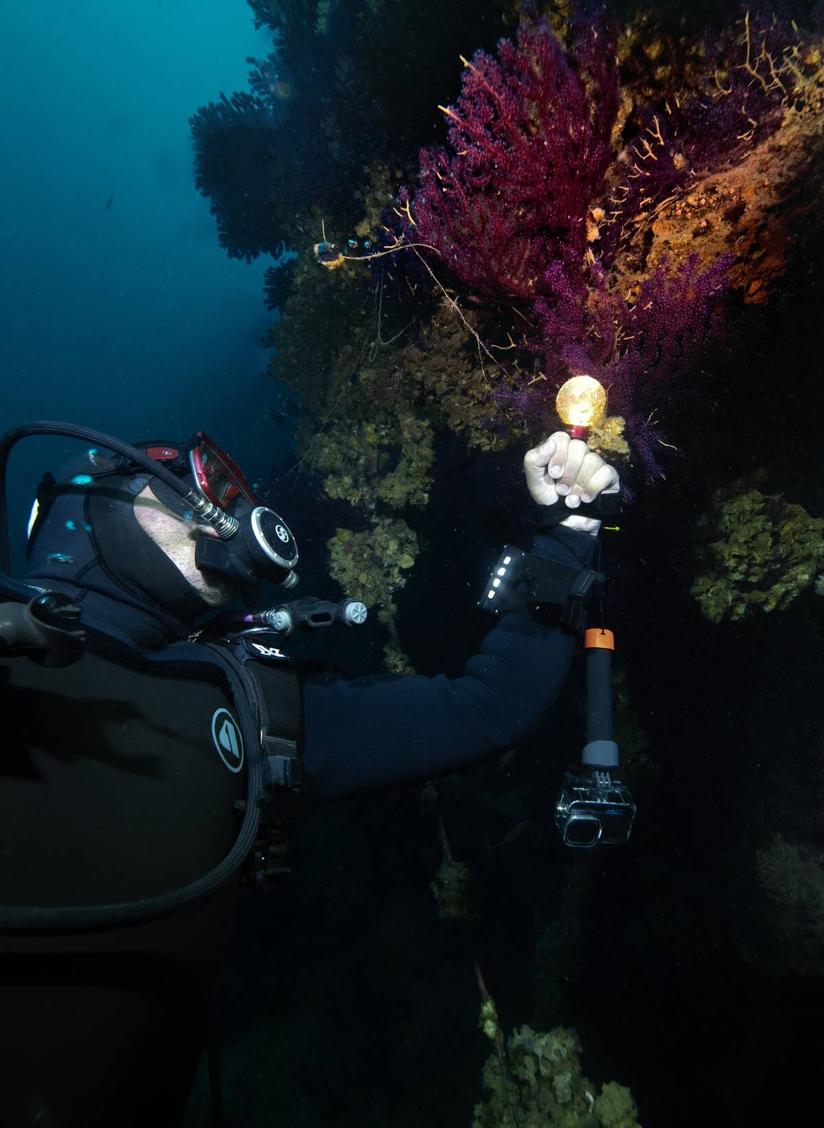 The Captain Frangos wreck in the depths of the Canakkale Strait