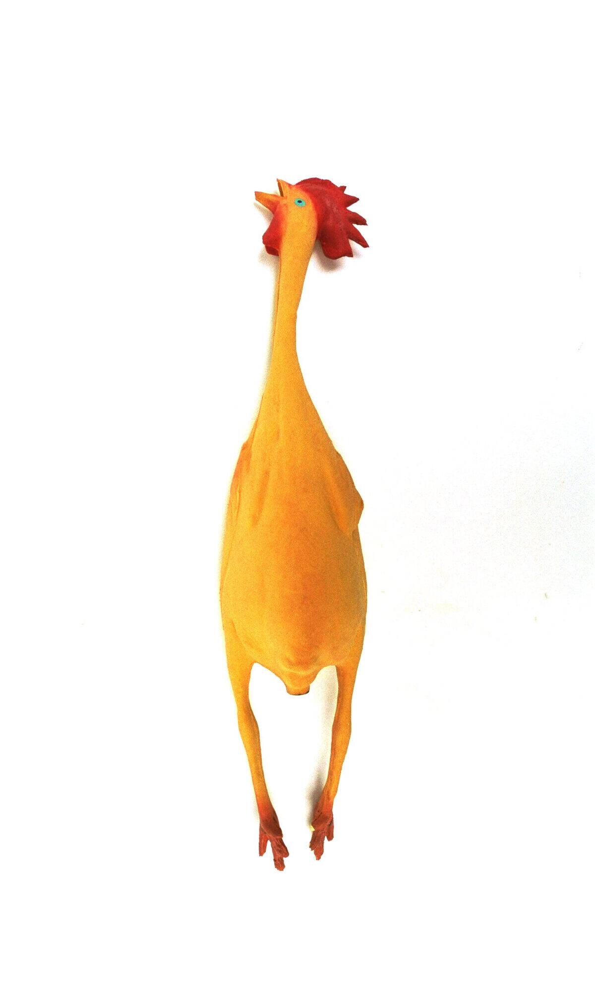 The ubiquitous rubber chicken.