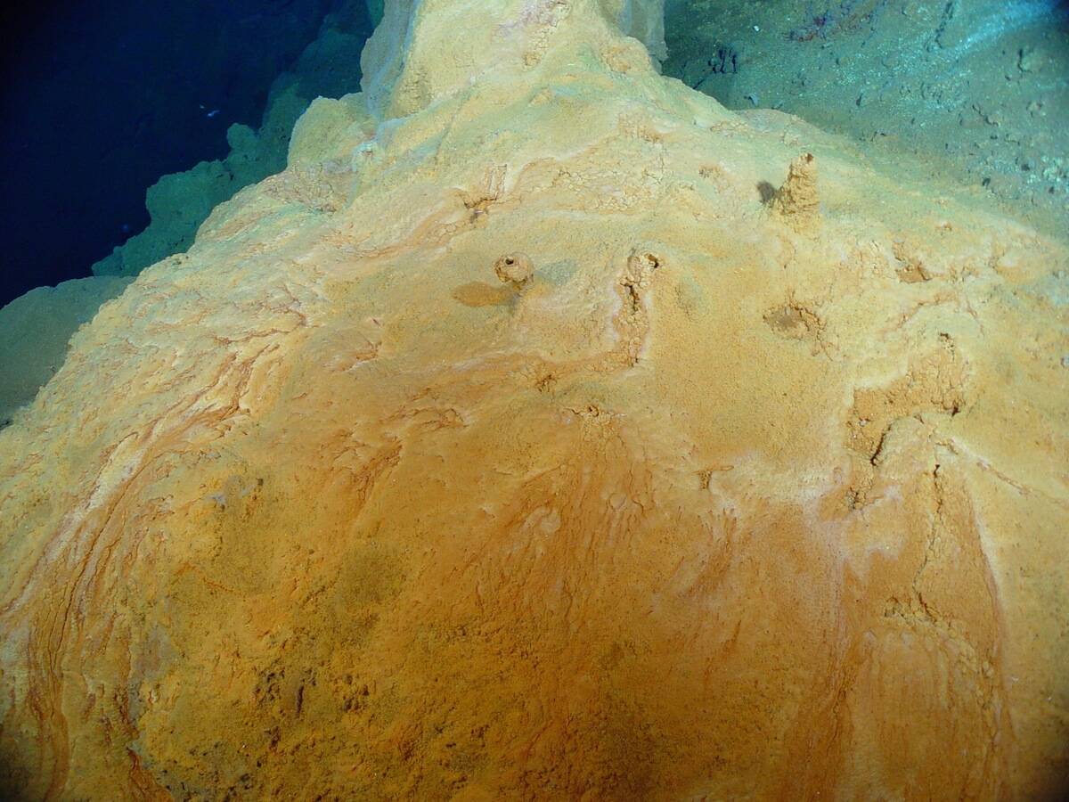 Thick orange bacterial mat found near the summit of Northwest Eifuku volcano