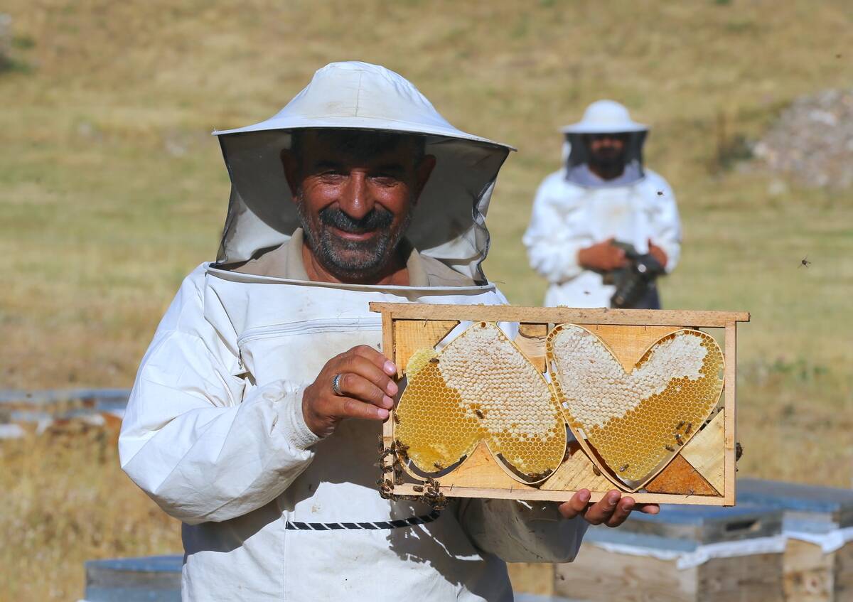 Turkish beekeeping family crafts custom honeycombs in the mountains of Bingol