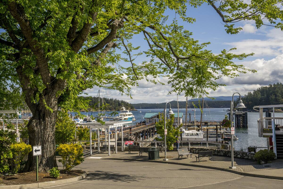 View of the marina in Friday Harbor on San Juan Island,...