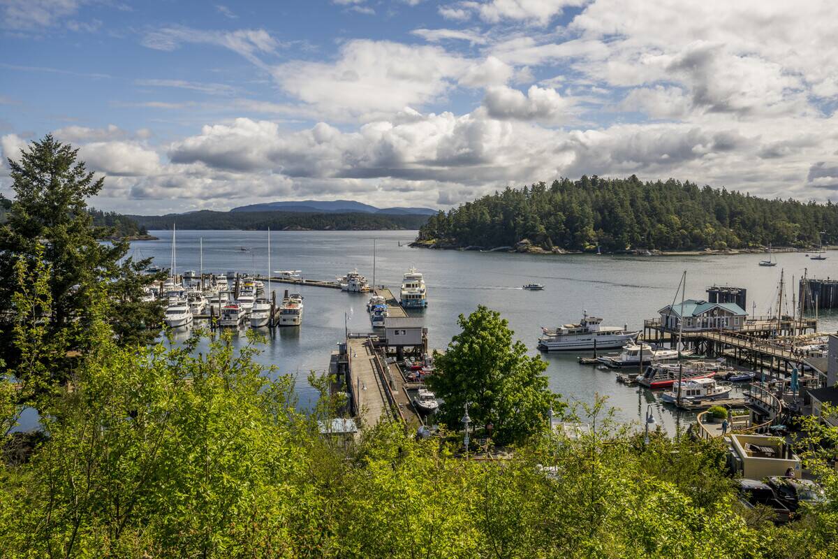 View of the marina in Friday Harbor on San Juan Island,...