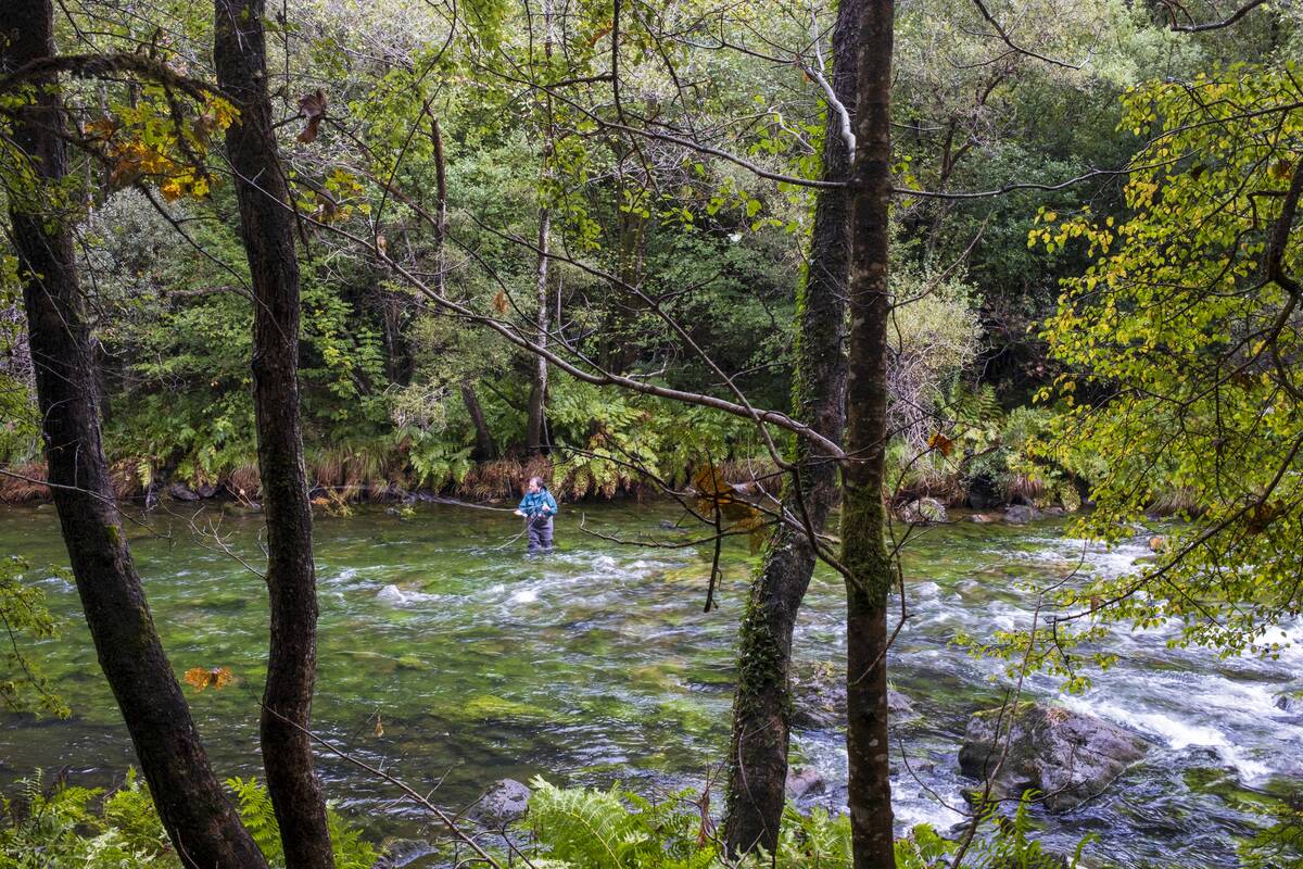 Views Of The Fragas Do River Eume In Galicia