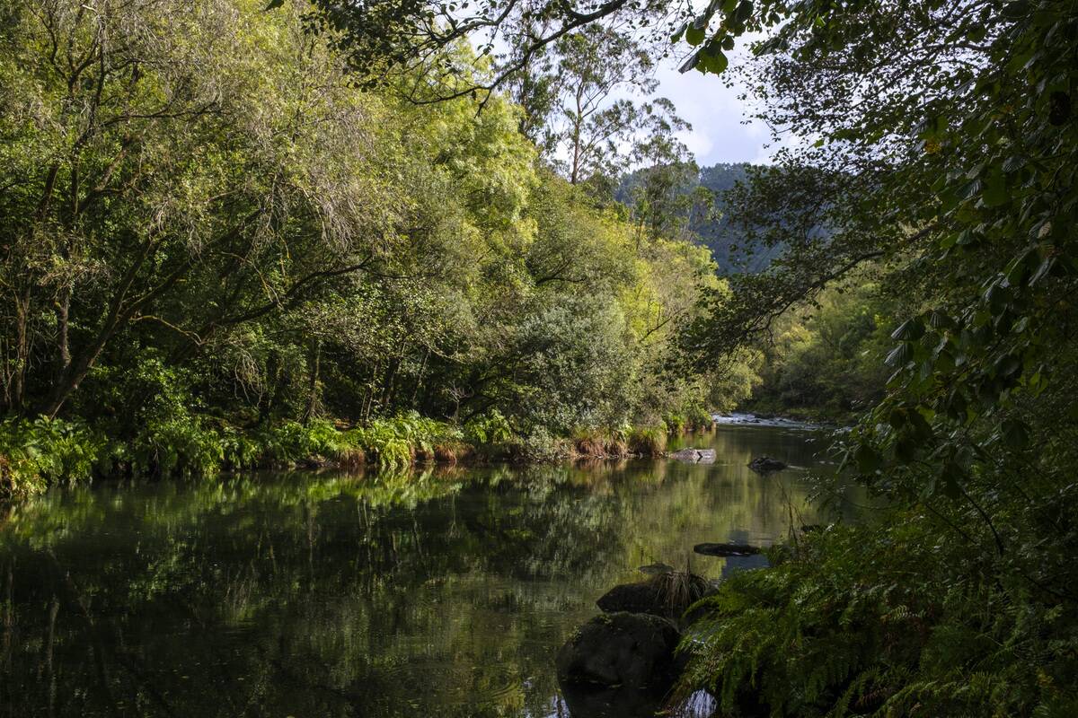 Views Of The Fragas Do River Eume In Galicia