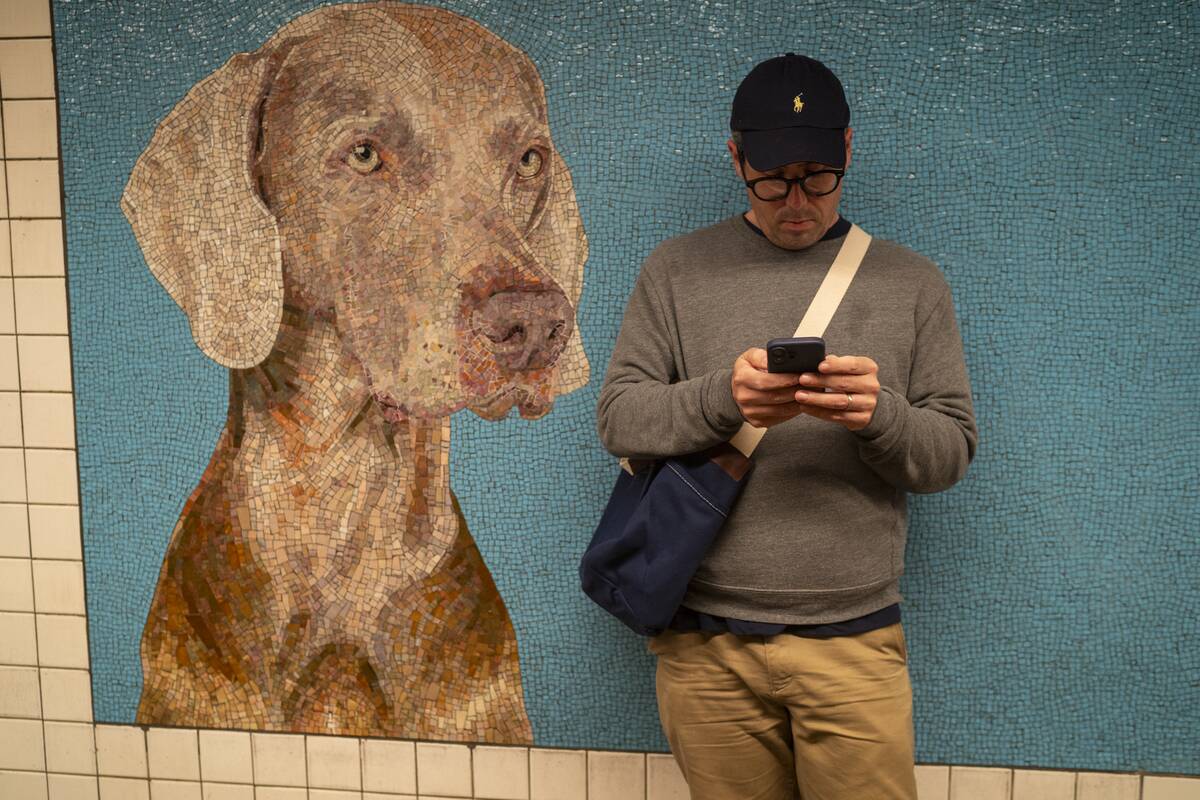William Wegman's Dog Murals At 23rd St Subway Station