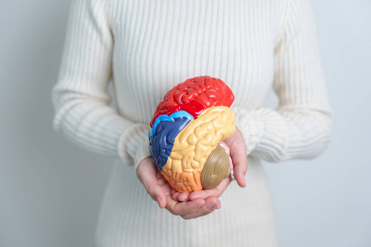 woman-holding-human-brain-model-world-brain-tumor-2025-03-10-02-20-40-utc