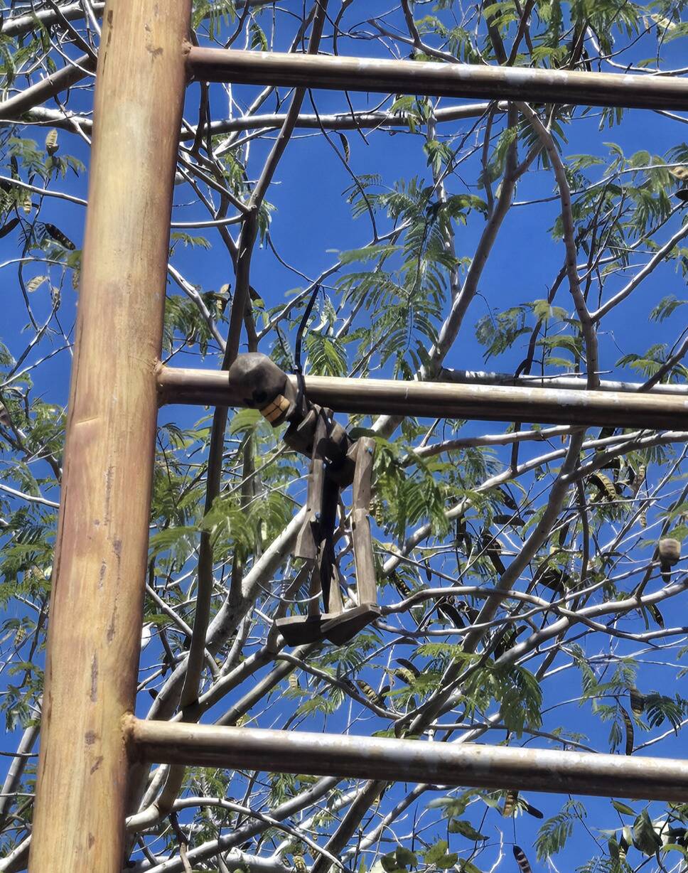 Screenshot 2025-11-05 at 9.12.32 AM