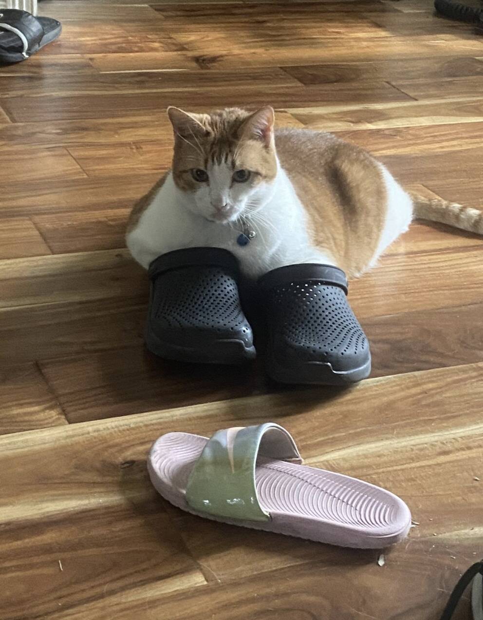 Screenshot 2026-01-27 at 2.39.08 PM