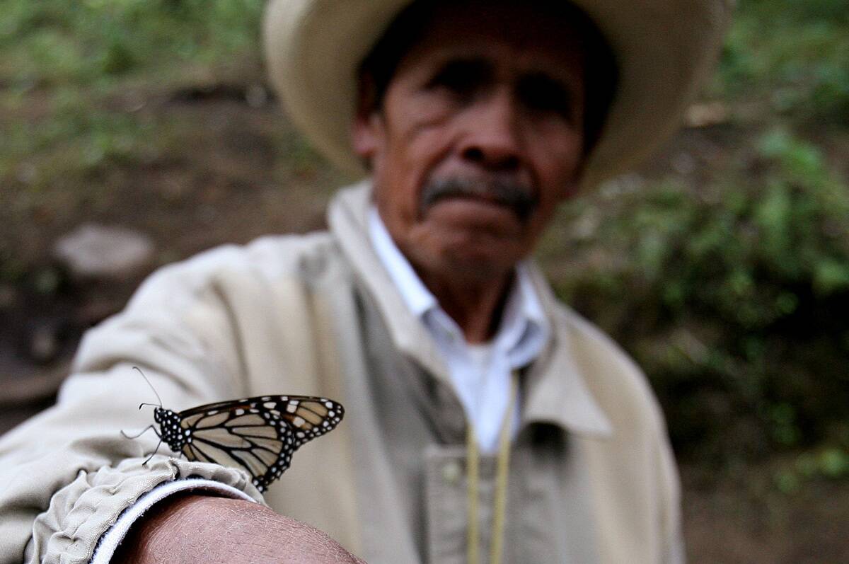 A resident of the