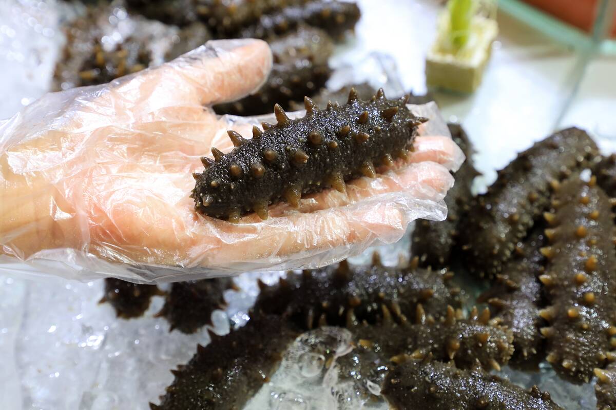 Aige Food Shanghai 2023