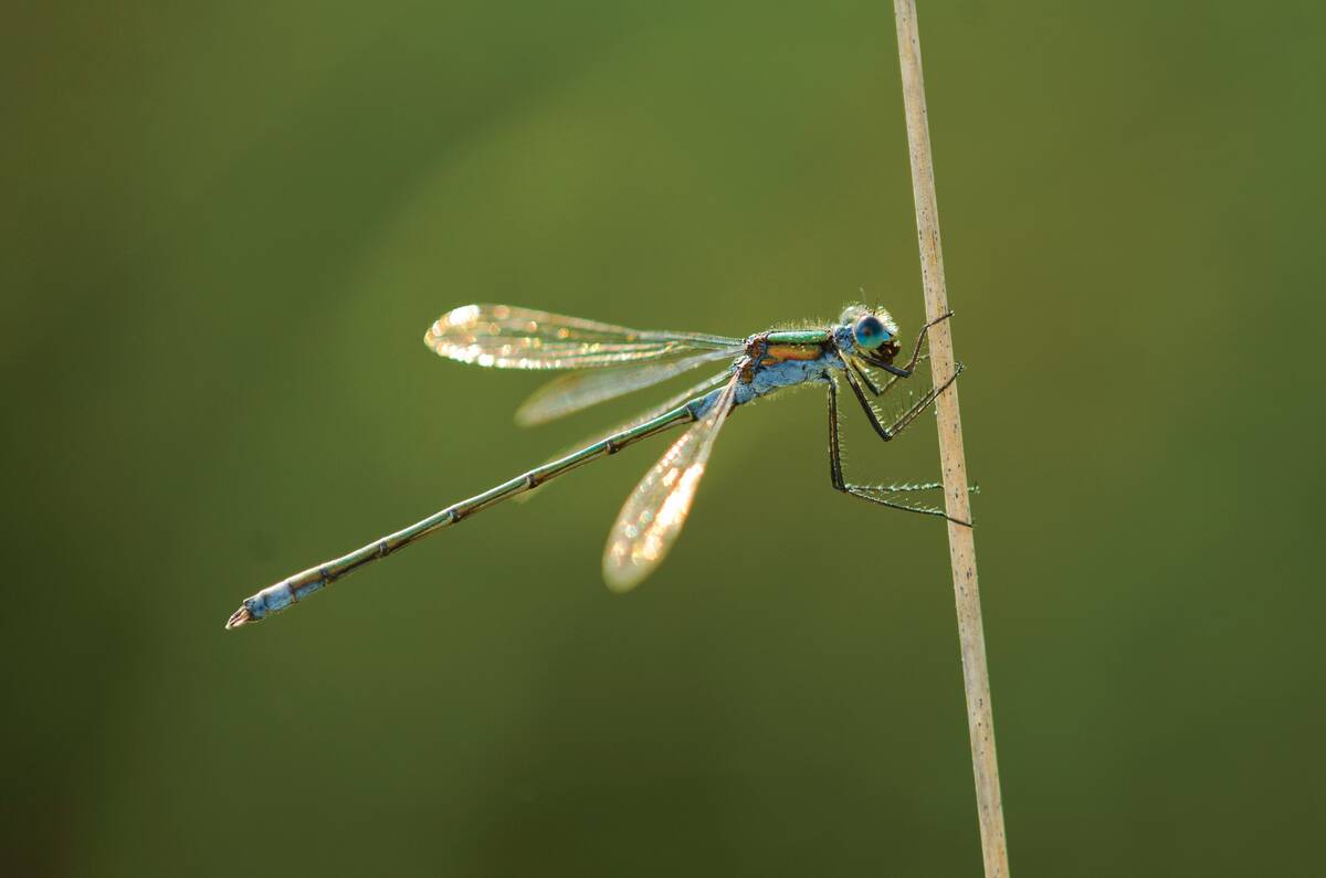 Assorted Location Shoots