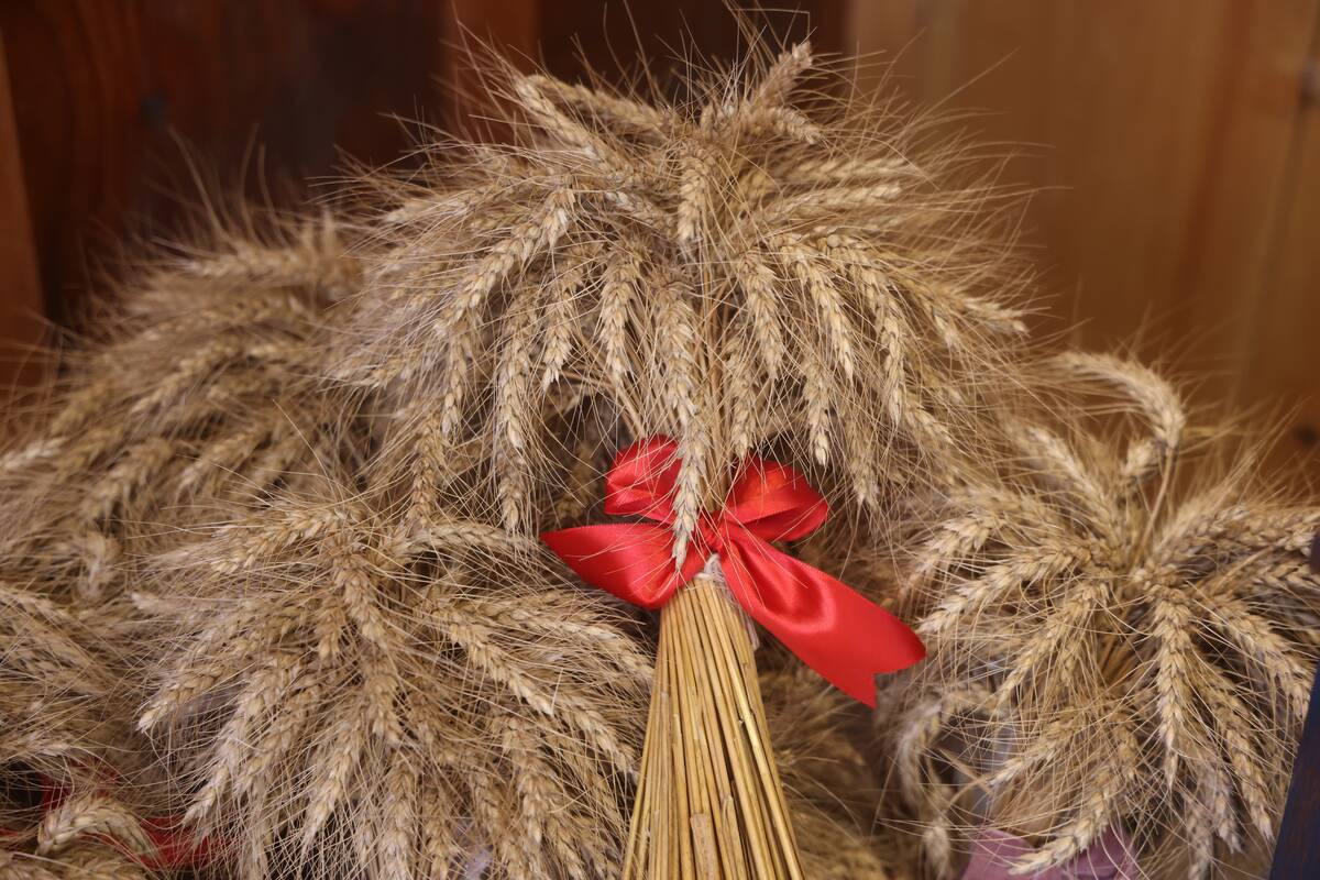 Autumn Season In Markham, Canada