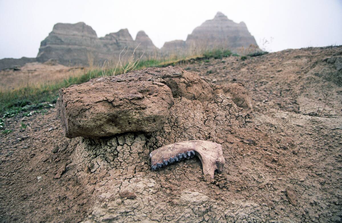 Badlands National Park, South Dakota