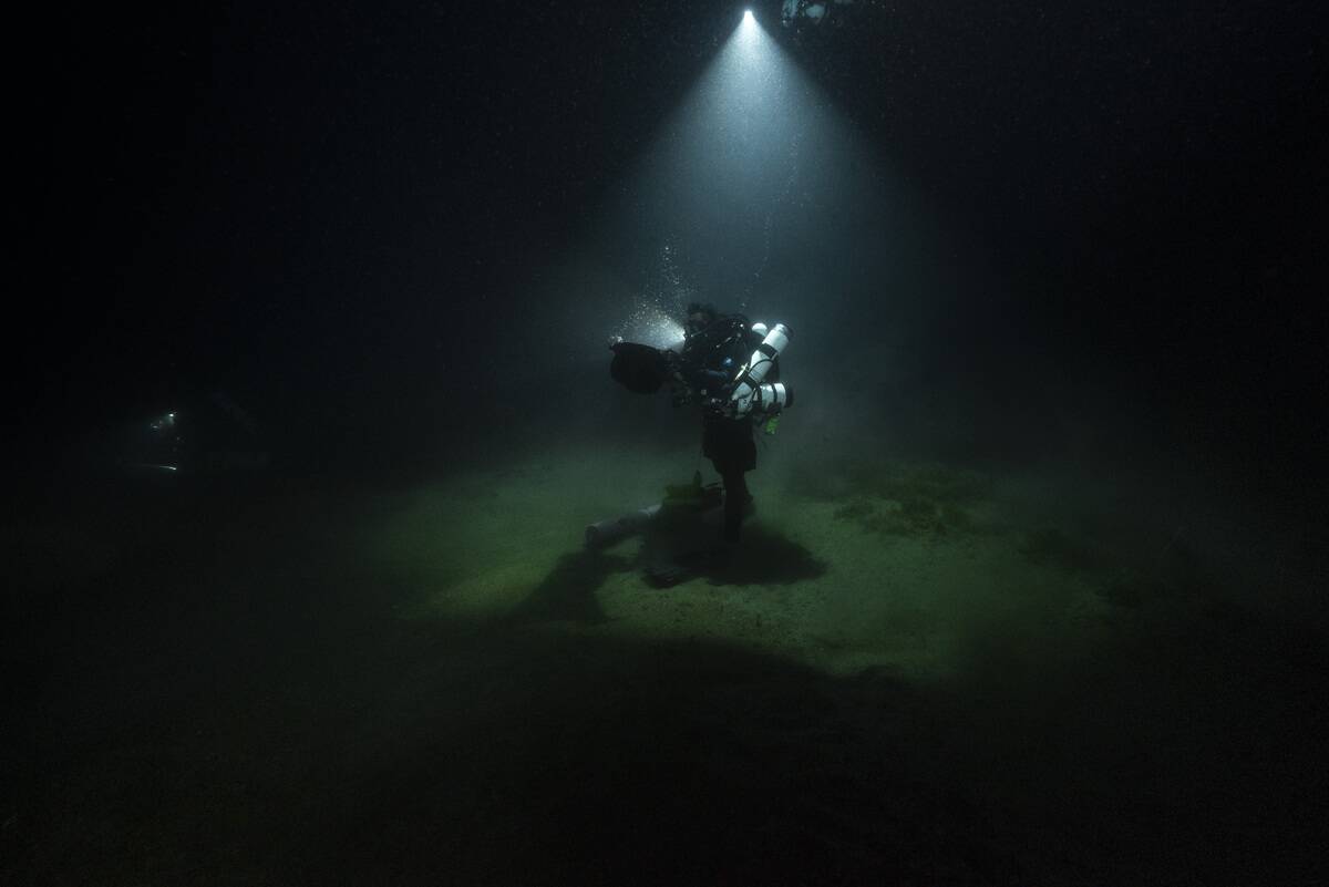 Biologist diver at work