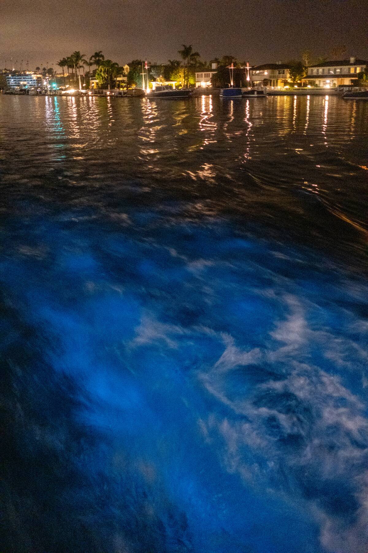 Bioluminescence in Newport Beach aboard Davey's Locker Evening Bioluminescence Glow Coastal Cruise.