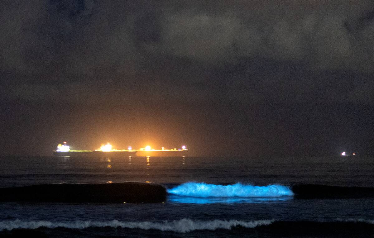 Bioluminescent waves are crashing again along Orange County beaches.