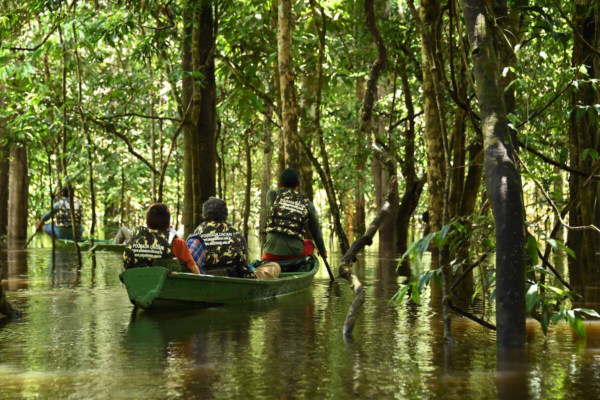 BRAZIL-AMAZONIA-ENVIRONMENT-MAMIRAUA-RESERVE