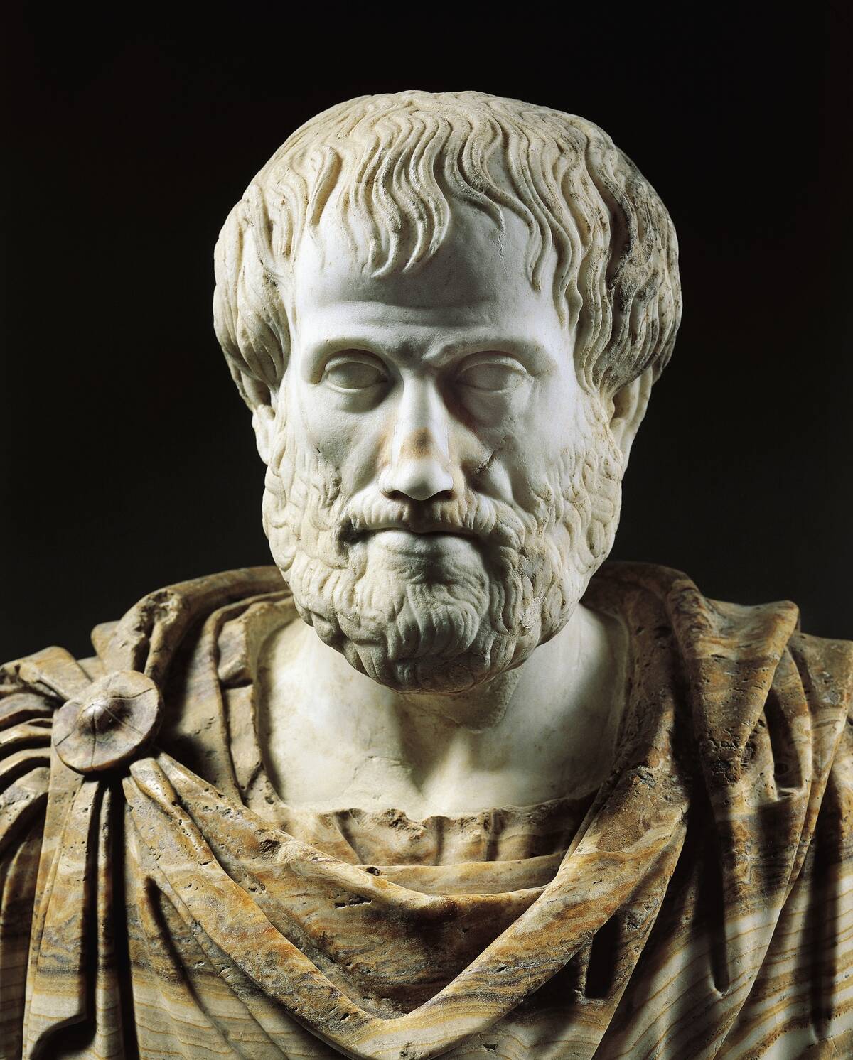 Bust of Aristotle...