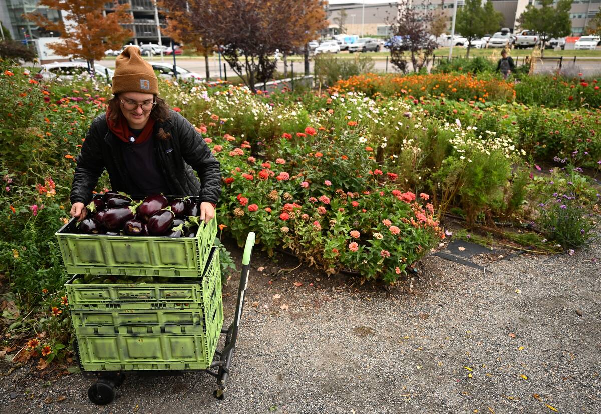 Children's Hospital Child Health Clinic