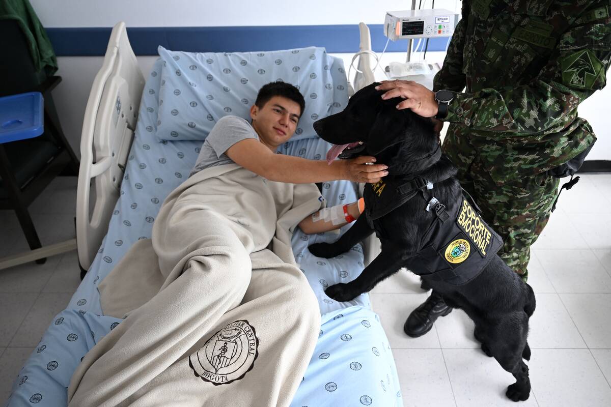 COLOMBIA-CONFLICT-ANIMAL-SOLDIERS-THERAPY