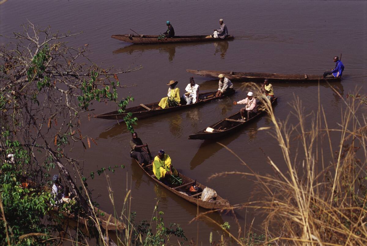 Conferring With Ancestors