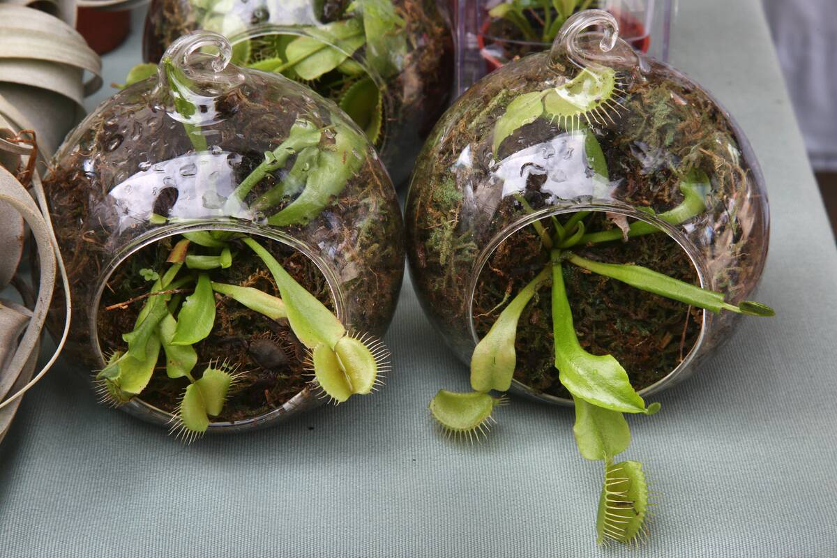 Daily Life In Canada