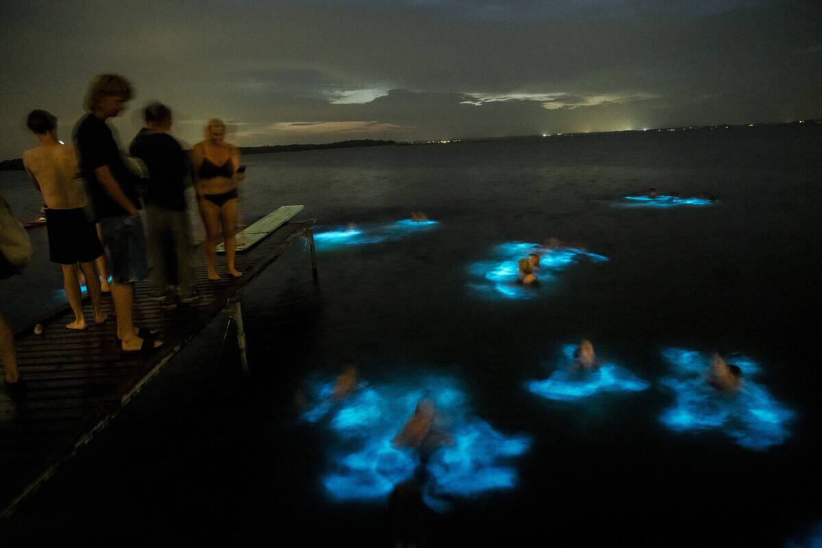 DENMARK-WEATHER-BIOLUMINESCENCE-ALGAE