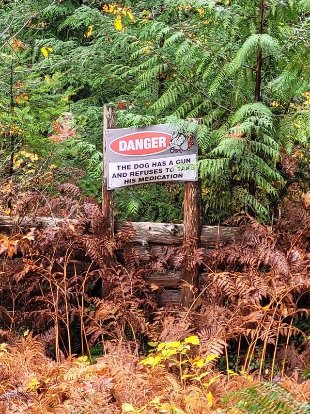 dog-with-a-gun-v0-9yhb13czakzf1