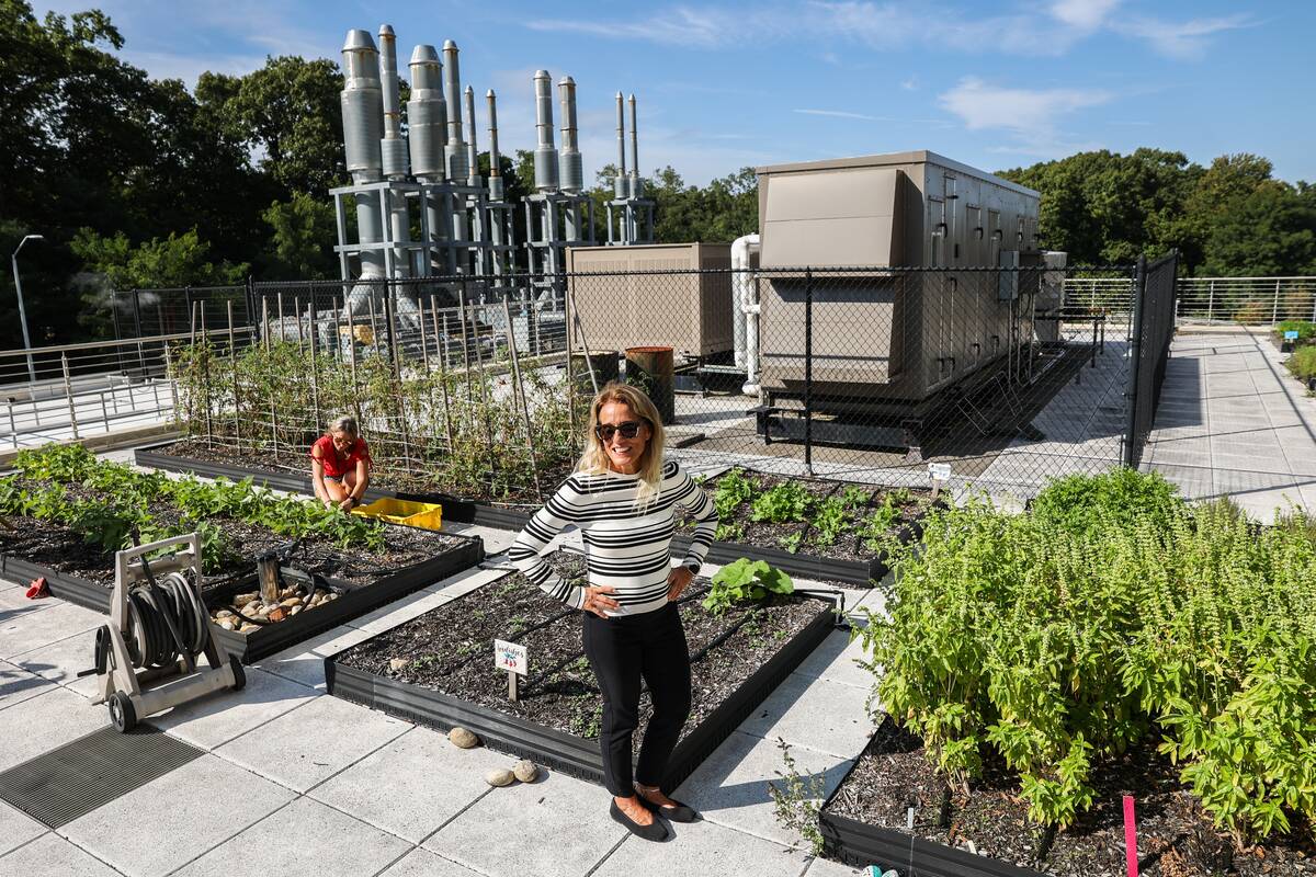 Dr. Josephine Connolly-Schoonen, Director of the Nutrition Division at Stony Brook Medicine