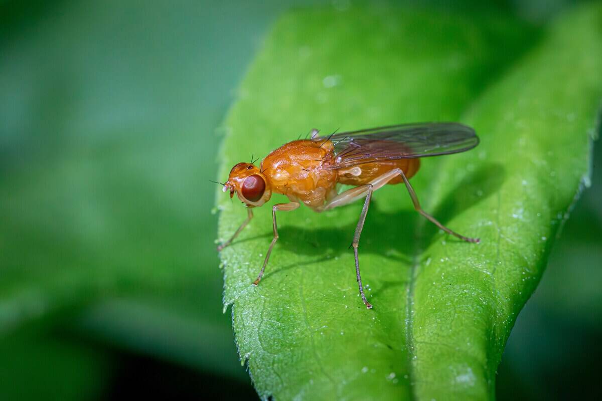 erik-karits-tq8UconupPQ-unsplash