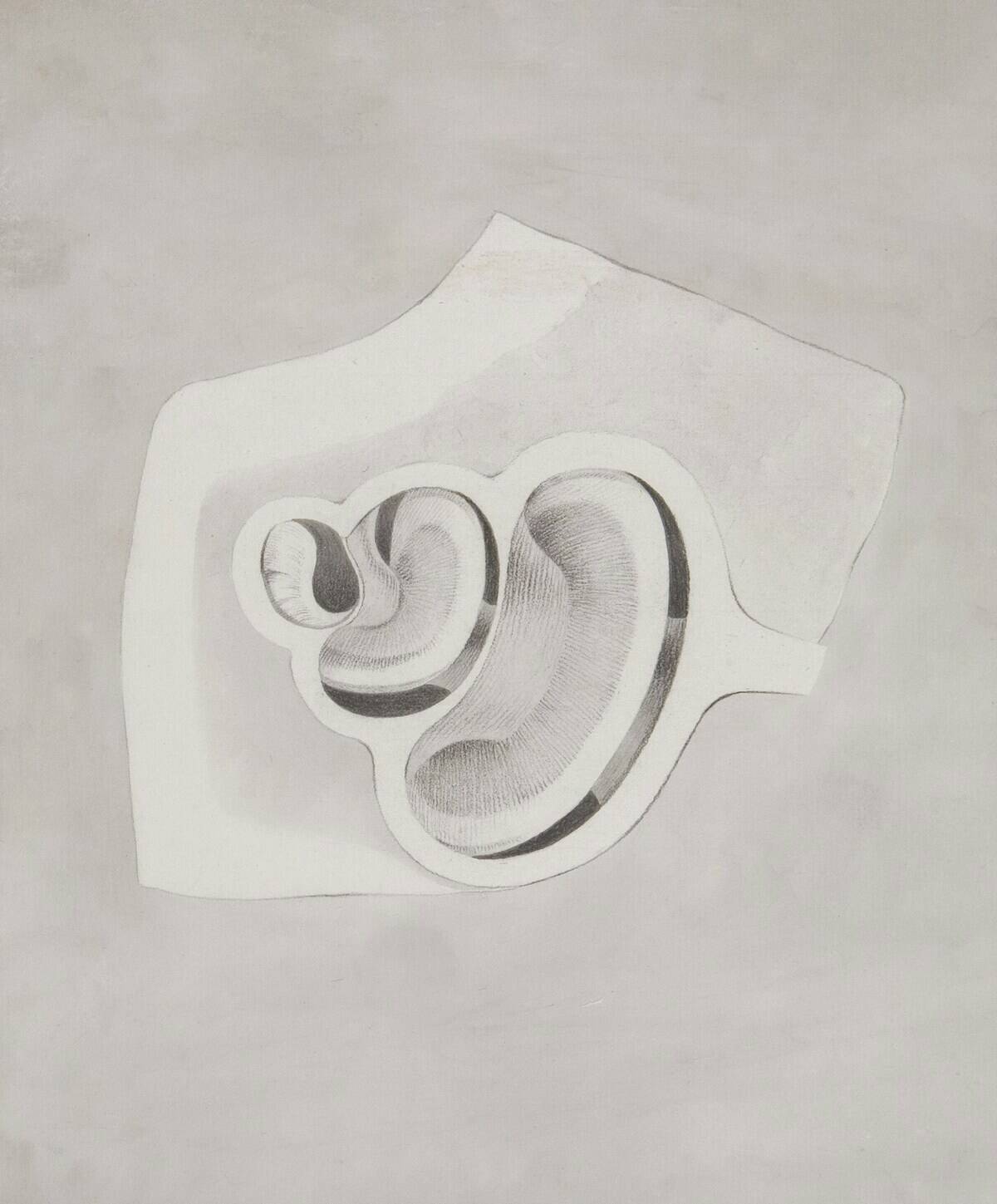 europeana-Xml9eLi4qQ8-unsplash