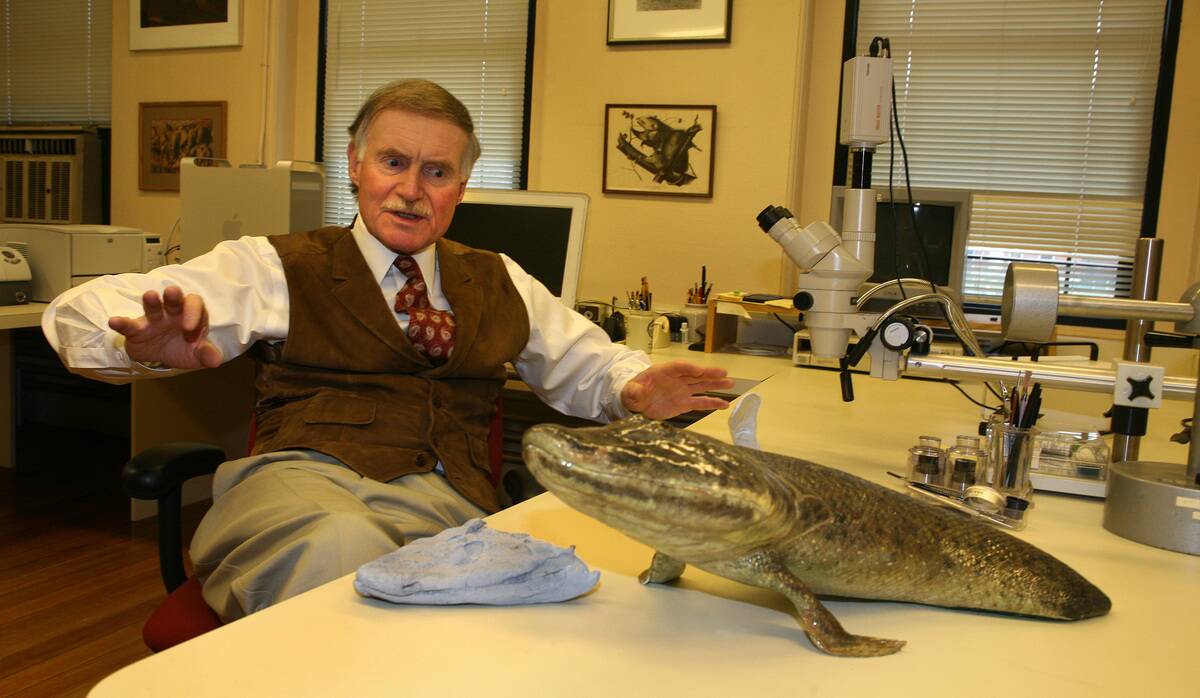 From Ancient Fish, Insight Into Origin Of Limbs