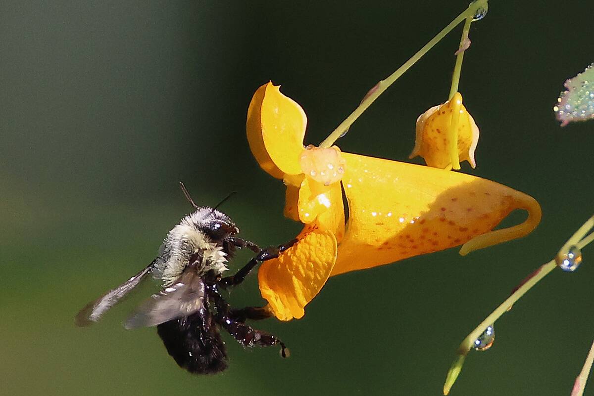 General Views In New York