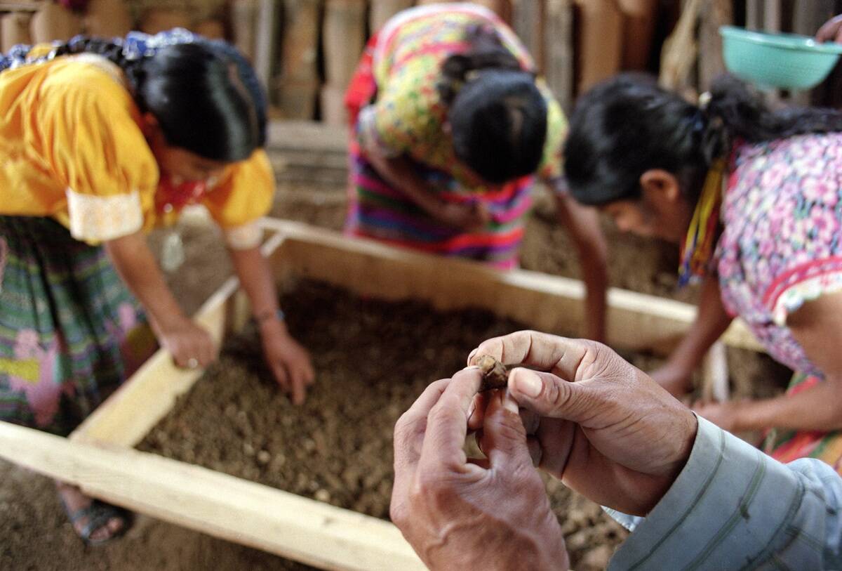 GUATEMALA-TOOTH-HUMAN REMAINS-MASSACRE