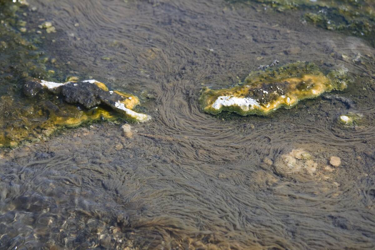 Hverageroi, Iceland, July 2011