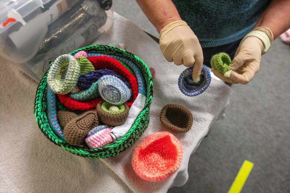 IRELAND-HEALTH-VIRUS-PUB-ANIMALS-WILDLIFE-CHARITY