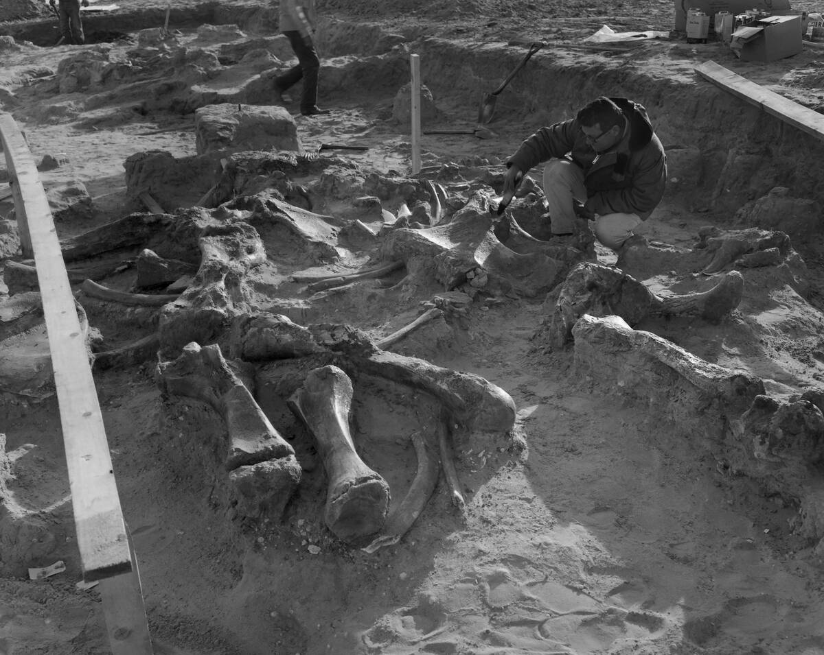 Mammoth Excavation, Portales, New Mexico
