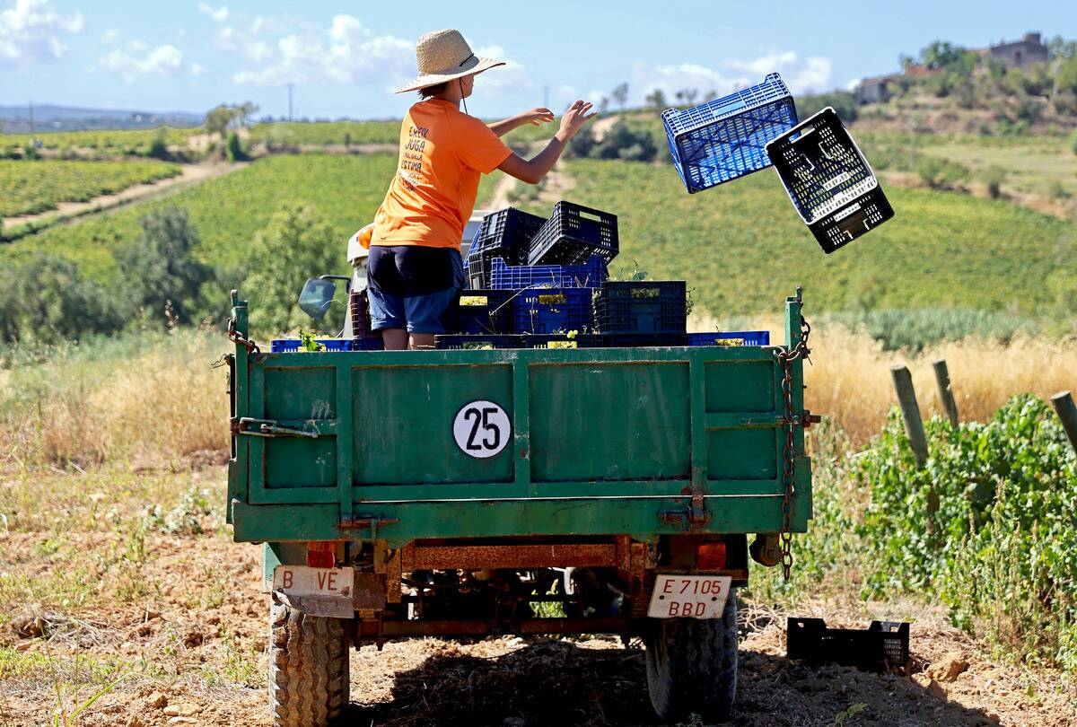 Penedes wines become the world first fully ecologic DO