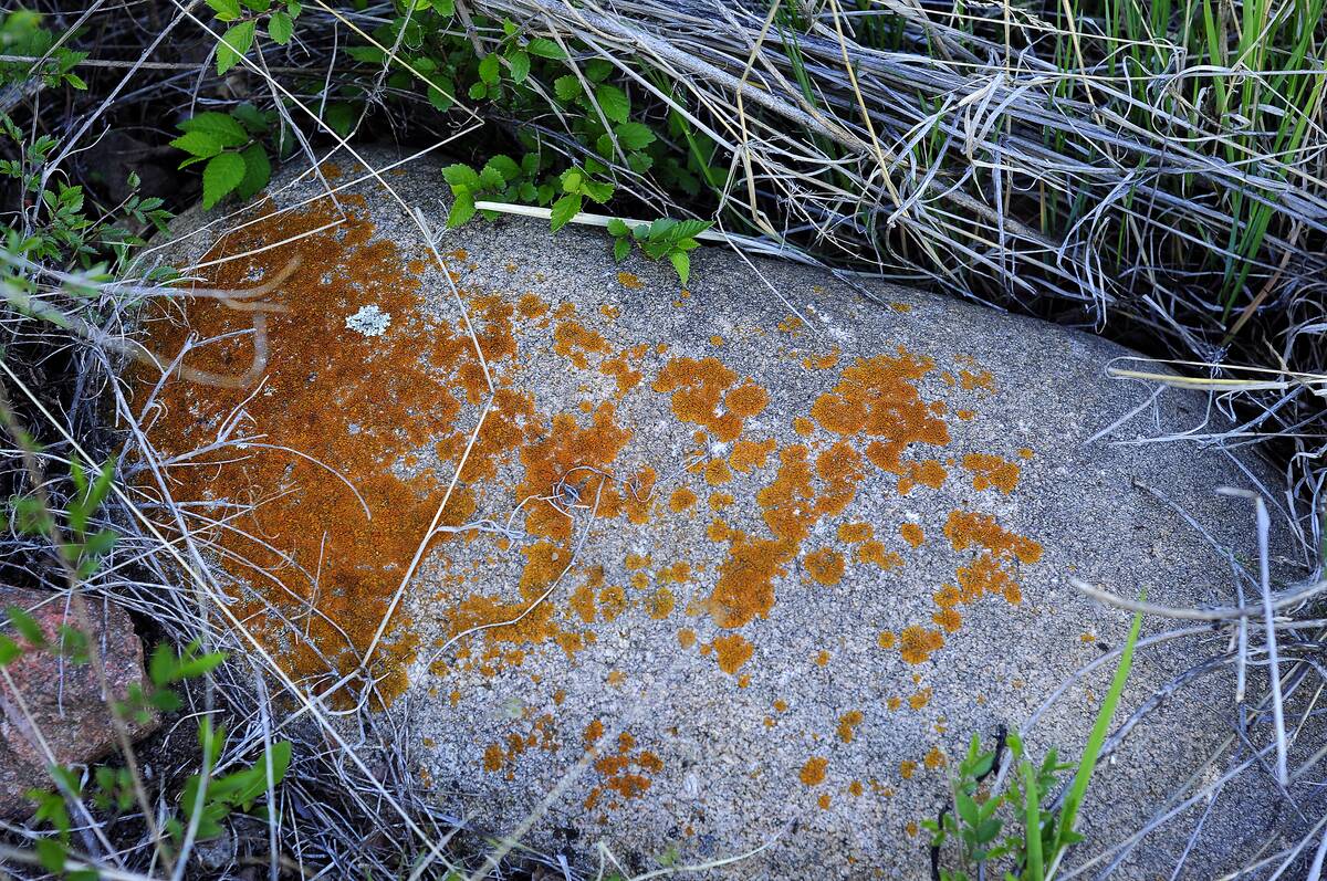 Santa Fe Canyon Preserve